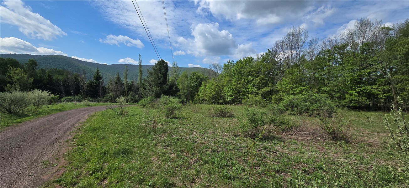 Adams Hill Road Hobart, NY 13788 - Photo 7 of 14 SOUTHERN MOUNTAIN VIEWS