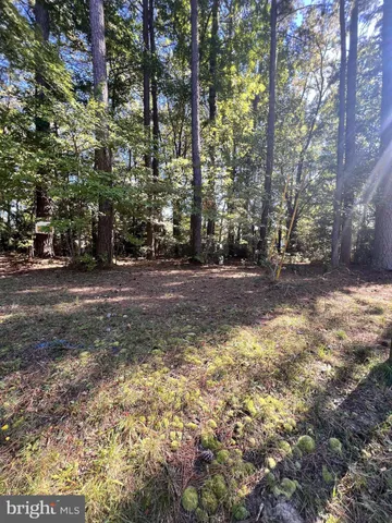 a view of a yard with trees