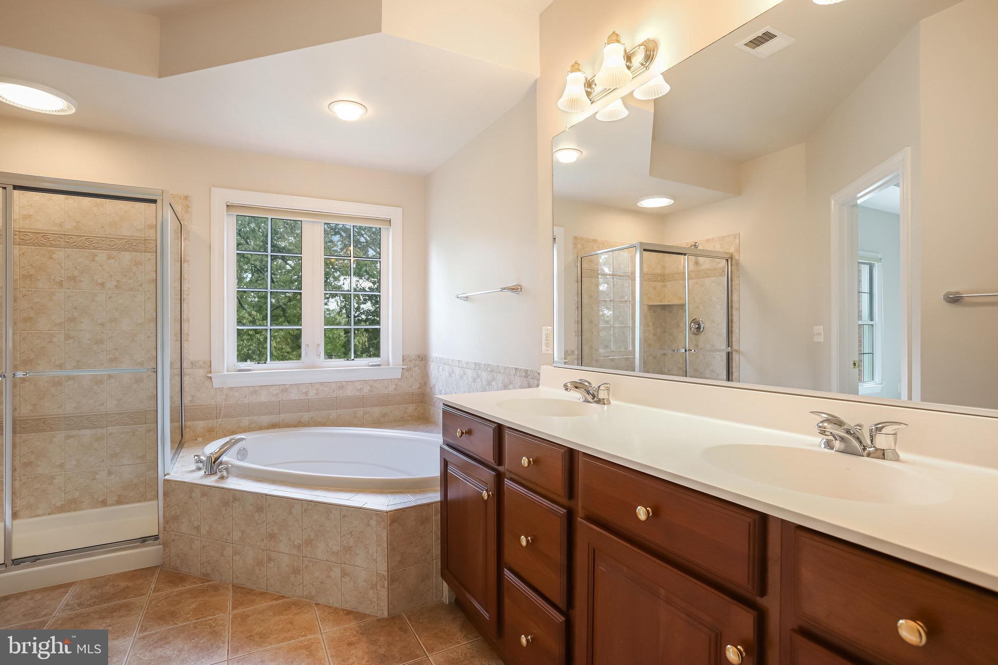 18546 Perdido Bay Terrace Leesburg, VA 20176 - Photo 23 of 57 a bathroom with a granite countertop bathtub a sink and a large mirror