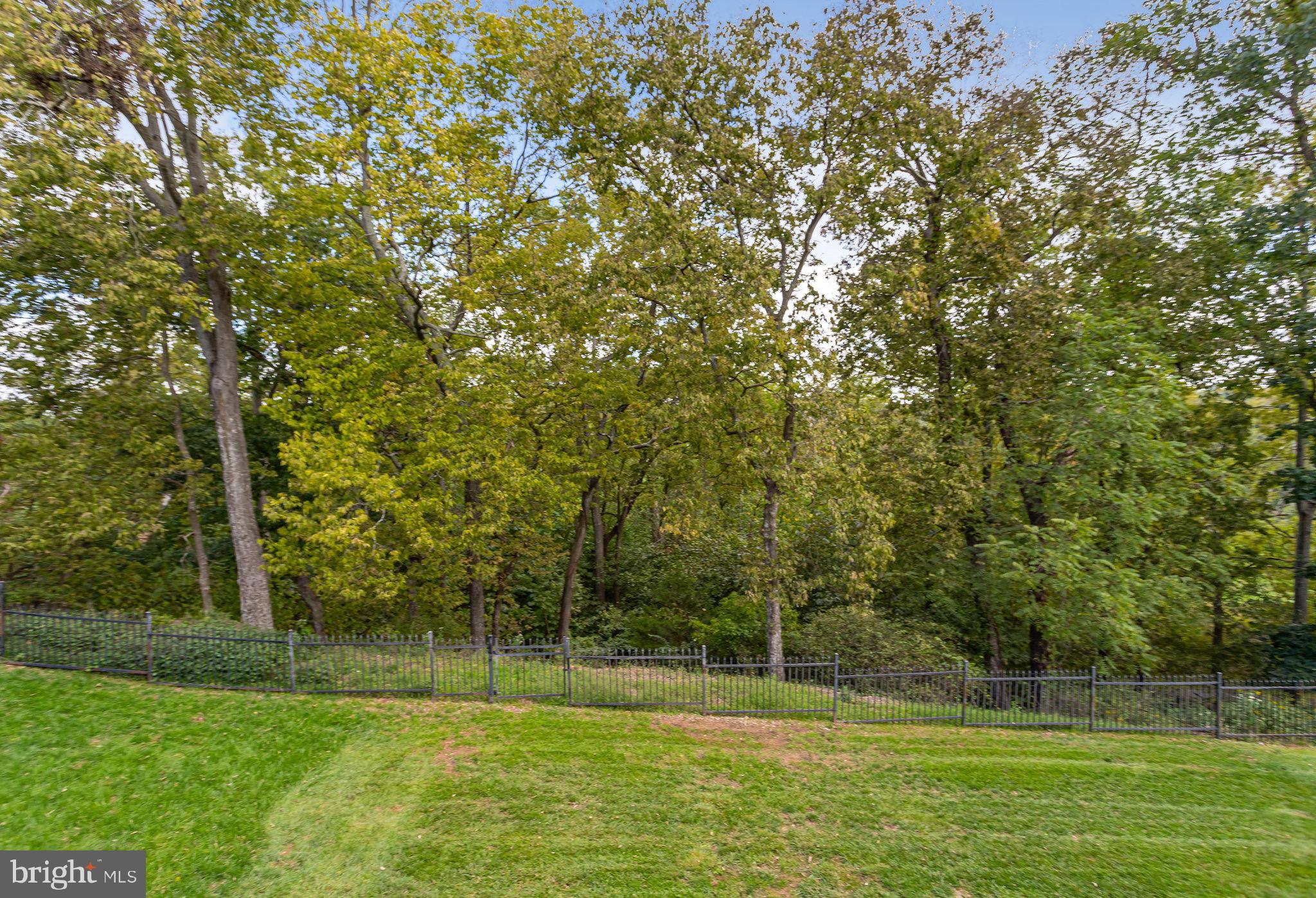 18546 Perdido Bay Terrace Leesburg, VA 20176 - Photo 41 of 57 Backs to Trees