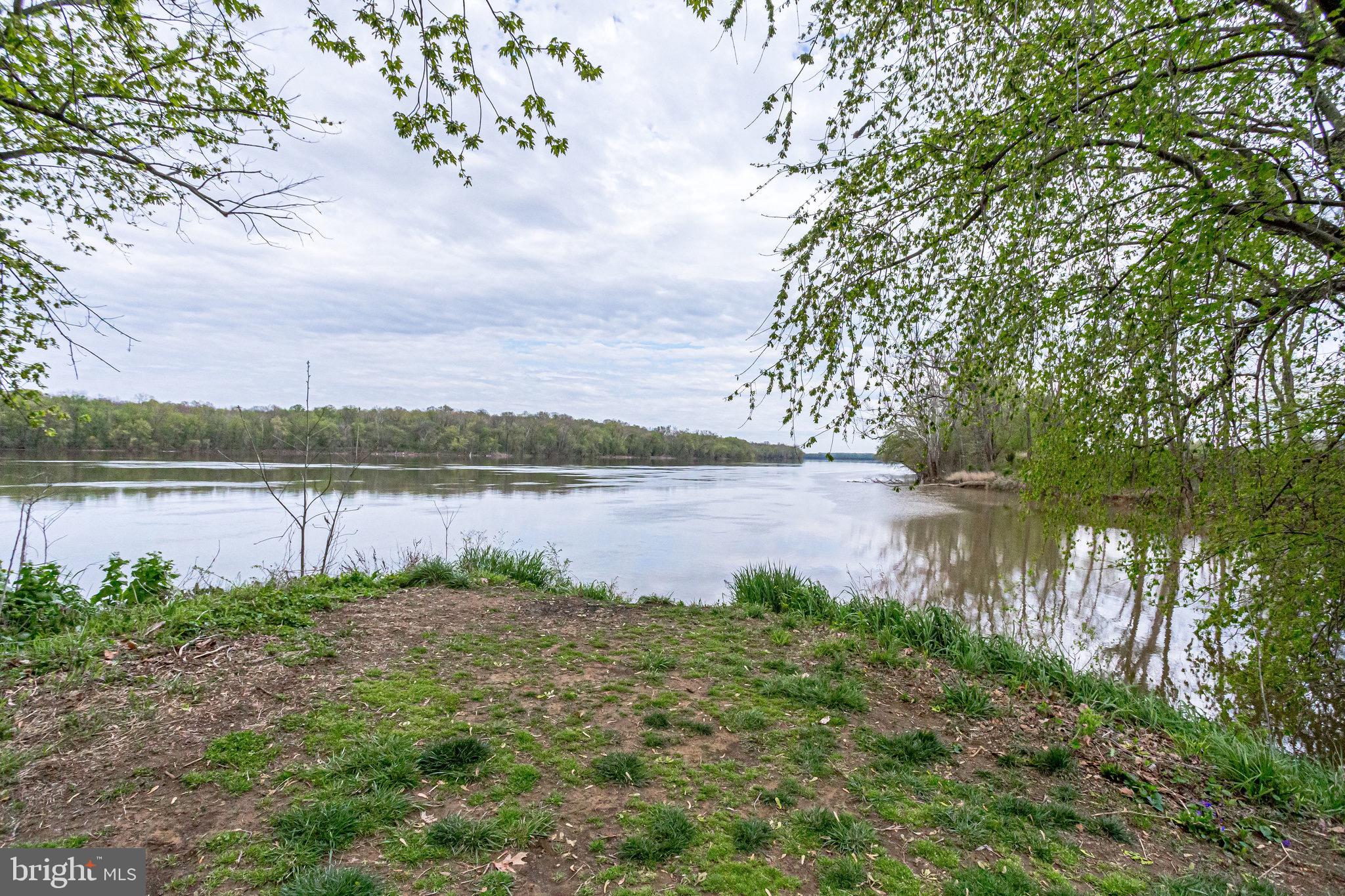 18546 Perdido Bay Terrace Leesburg, VA 20176 - Photo 50 of 57 a view of a lake with a big yard and large trees