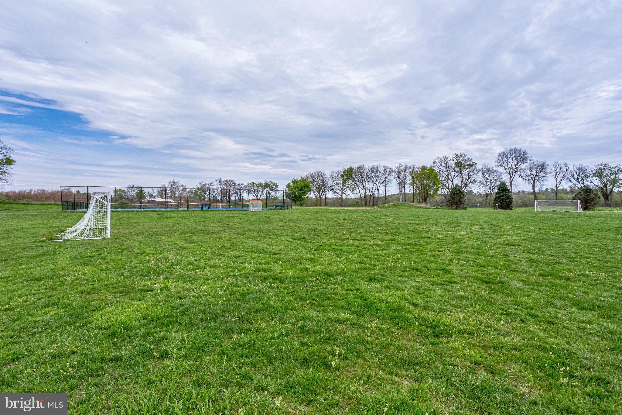 18546 Perdido Bay Terrace Leesburg, VA 20176 - Photo 51 of 57 a grassy field with trees in the background