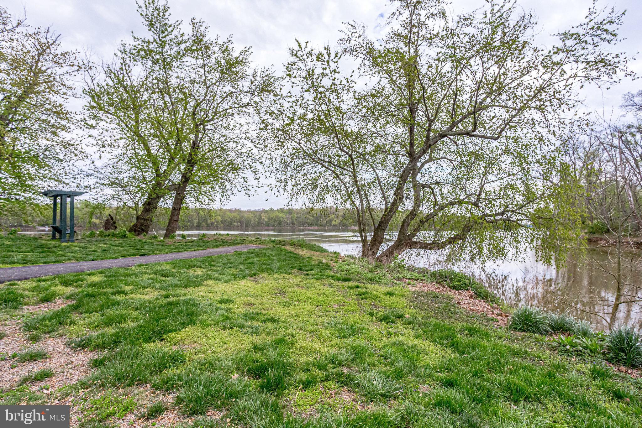 18546 Perdido Bay Terrace Leesburg, VA 20176 - Photo 52 of 57 a view of backyard with green space