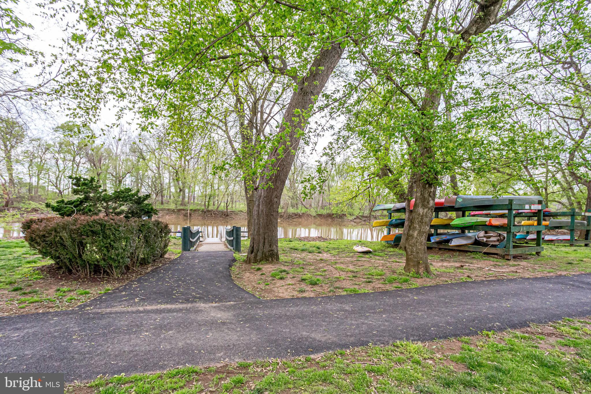 18546 Perdido Bay Terrace Leesburg, VA 20176 - Photo 54 of 57 a view of a yard with a tree