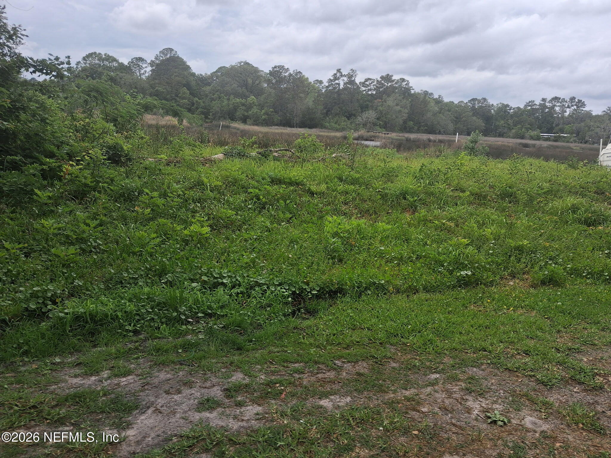 0 Sibbald Road Jacksonville, FL 32208 - Photo 4 of 5 a view of a lush green outdoor space with a lake view