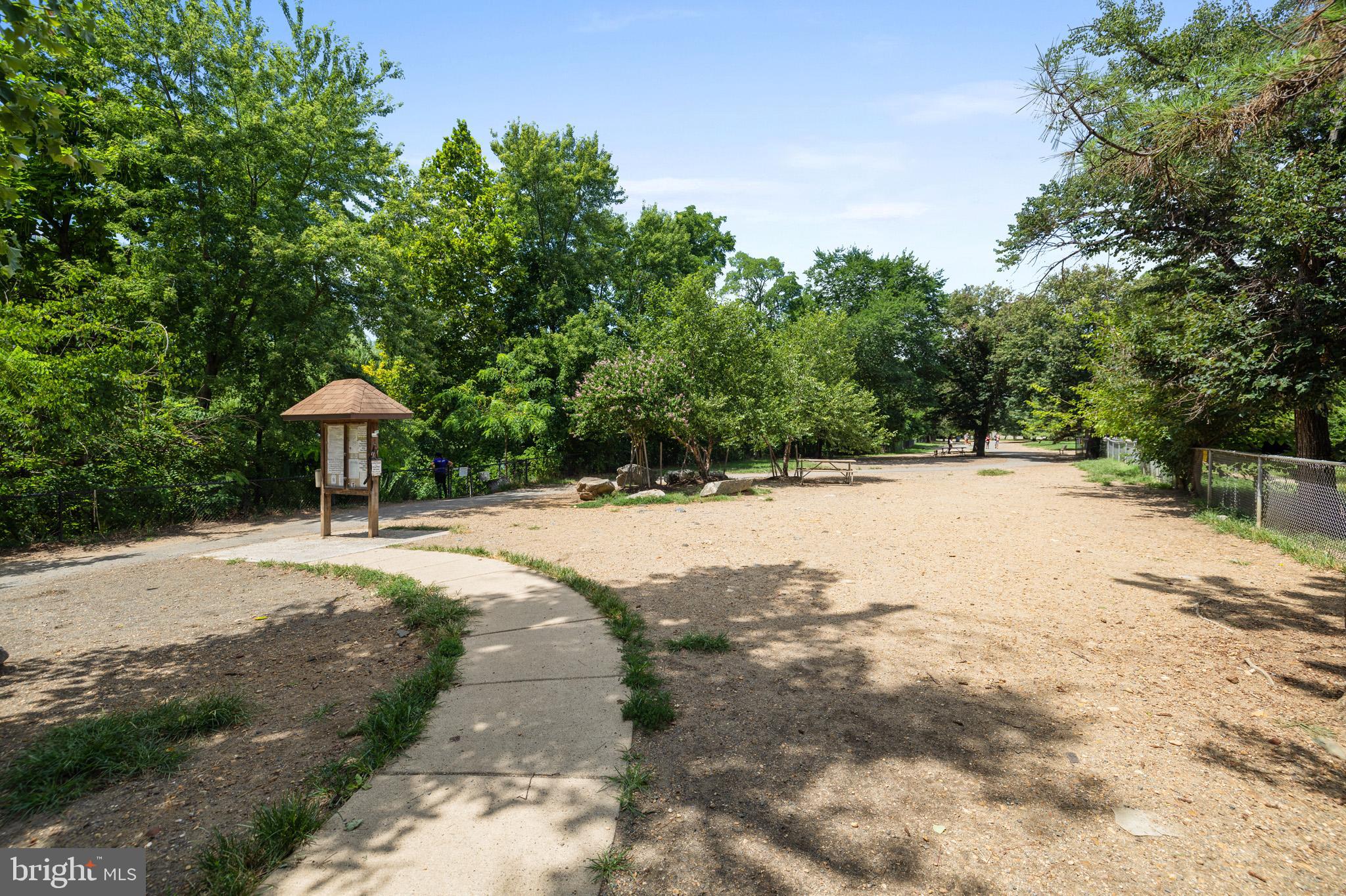 2823 24th Road South Arlington, VA 22206 - Photo 46 of 51 Serene pathway through lush greenery.