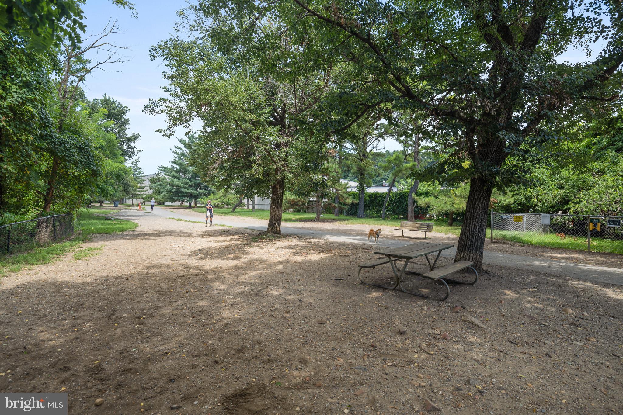 2823 24th Road South Arlington, VA 22206 - Photo 47 of 51 Tranquil park scene with shaded pathways.