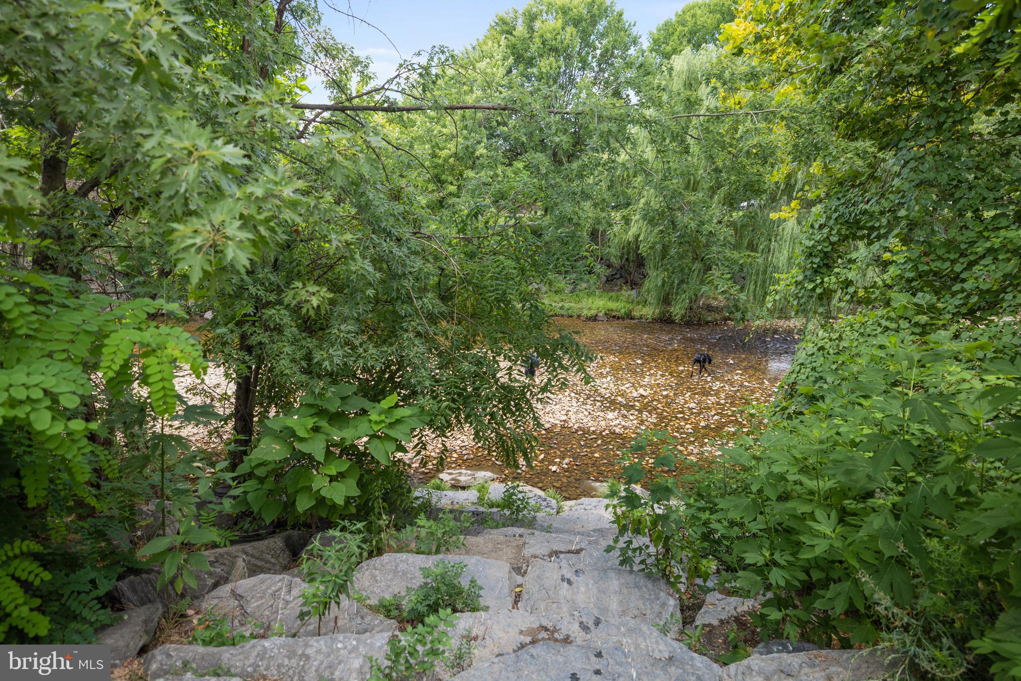 2823 24th Road South Arlington, VA 22206 - Photo 48 of 51 Serene riverbank framed by lush greenery.