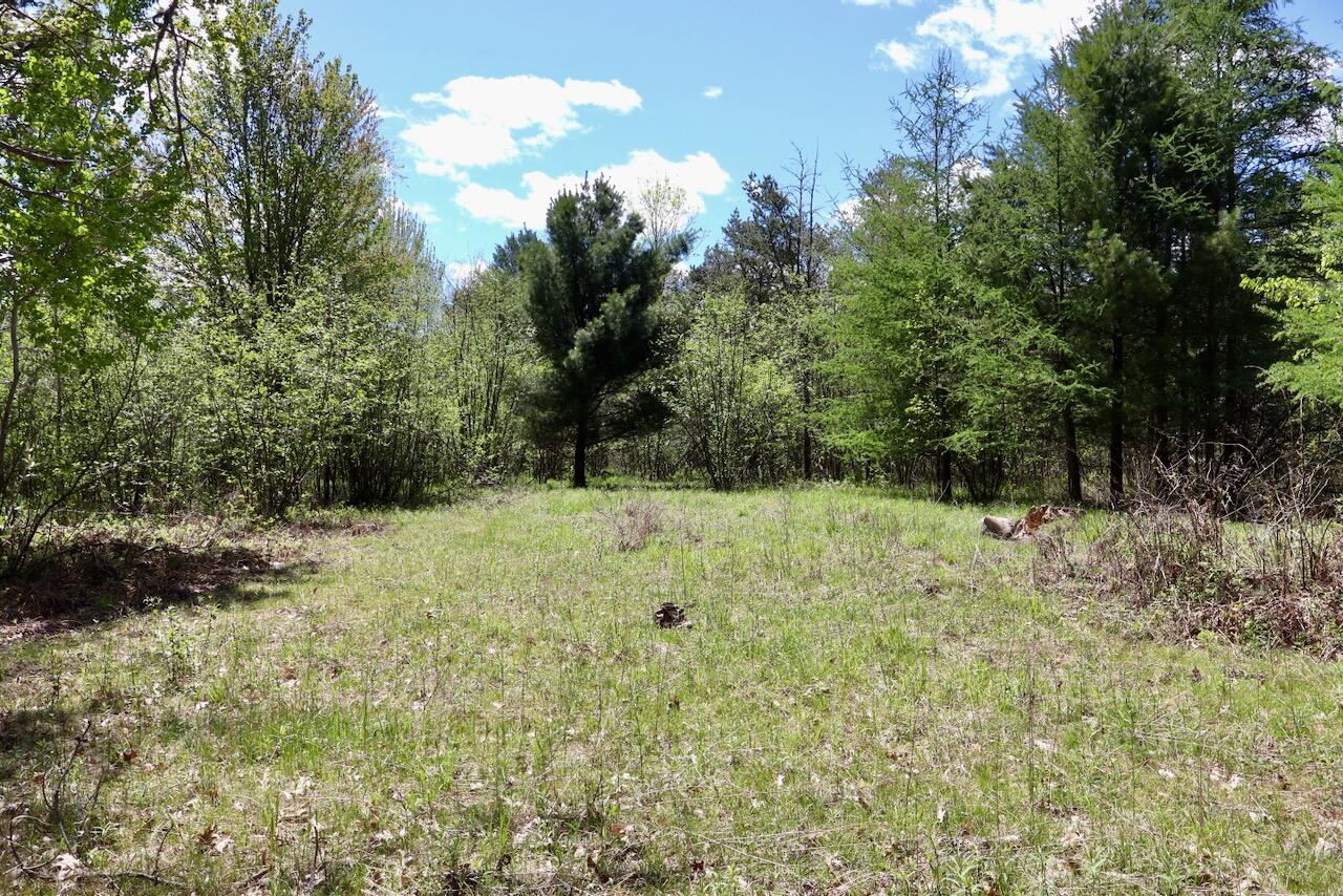 La Grant Road Alger, MI 48610 - Photo 24 of 46 019