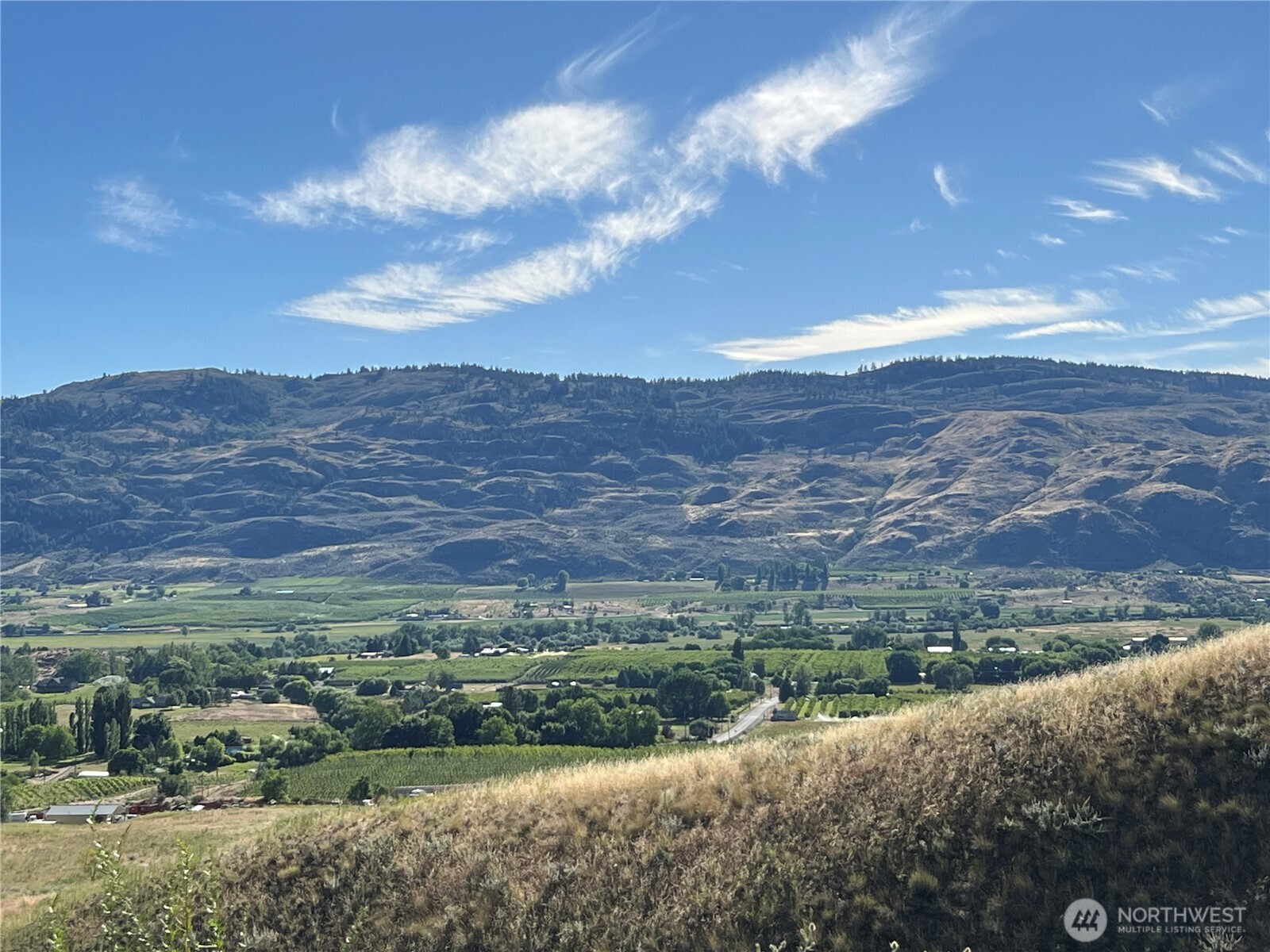 105 Swanson Mill Road Oroville, WA 98844 - Photo 35 of 37 a view of a lush green hillside and houses
