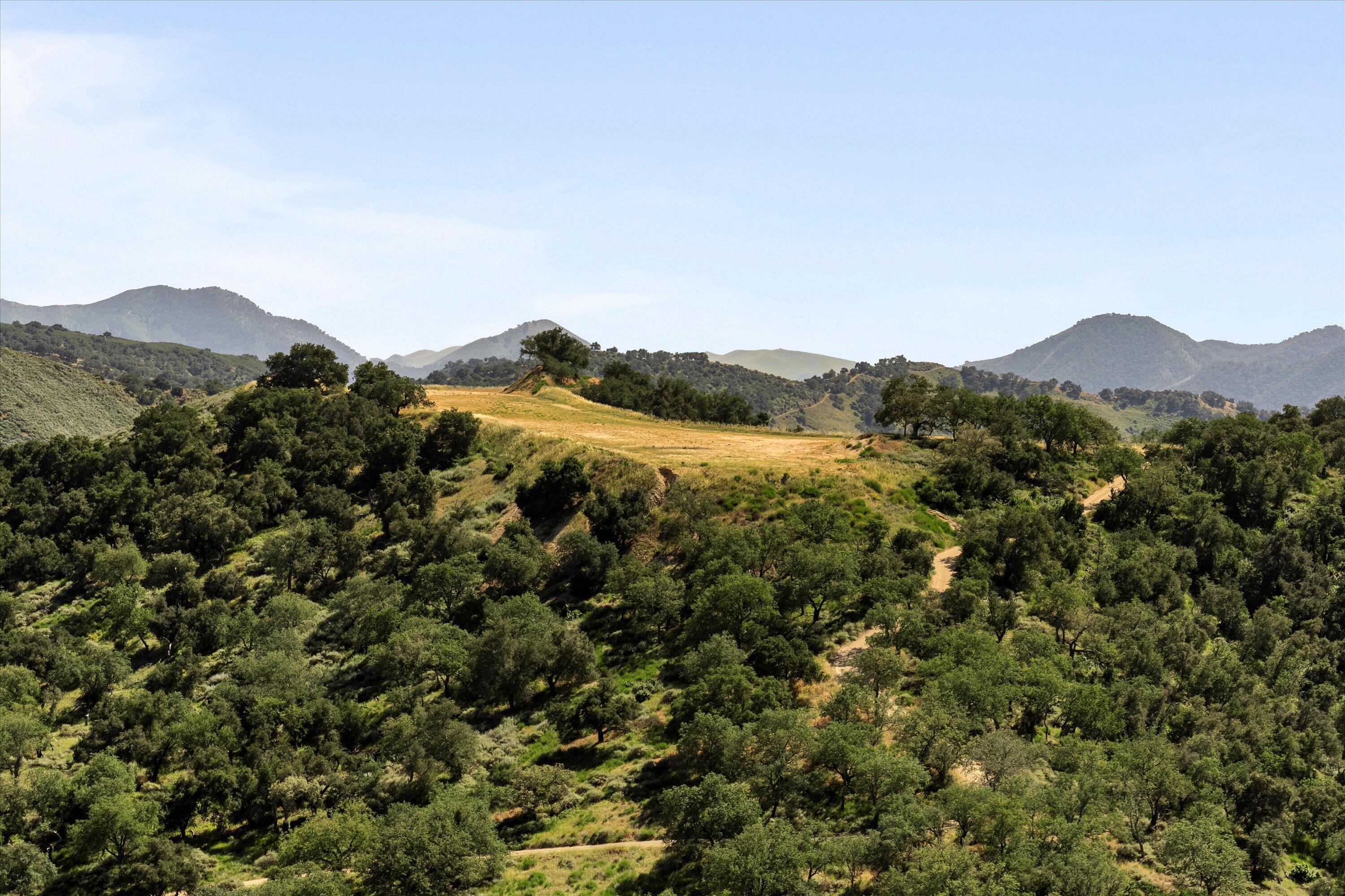12707 Huasna Road Arroyo Grande, CA 93420 - Photo 73 of 77 a view of a mountain range with lush green forest