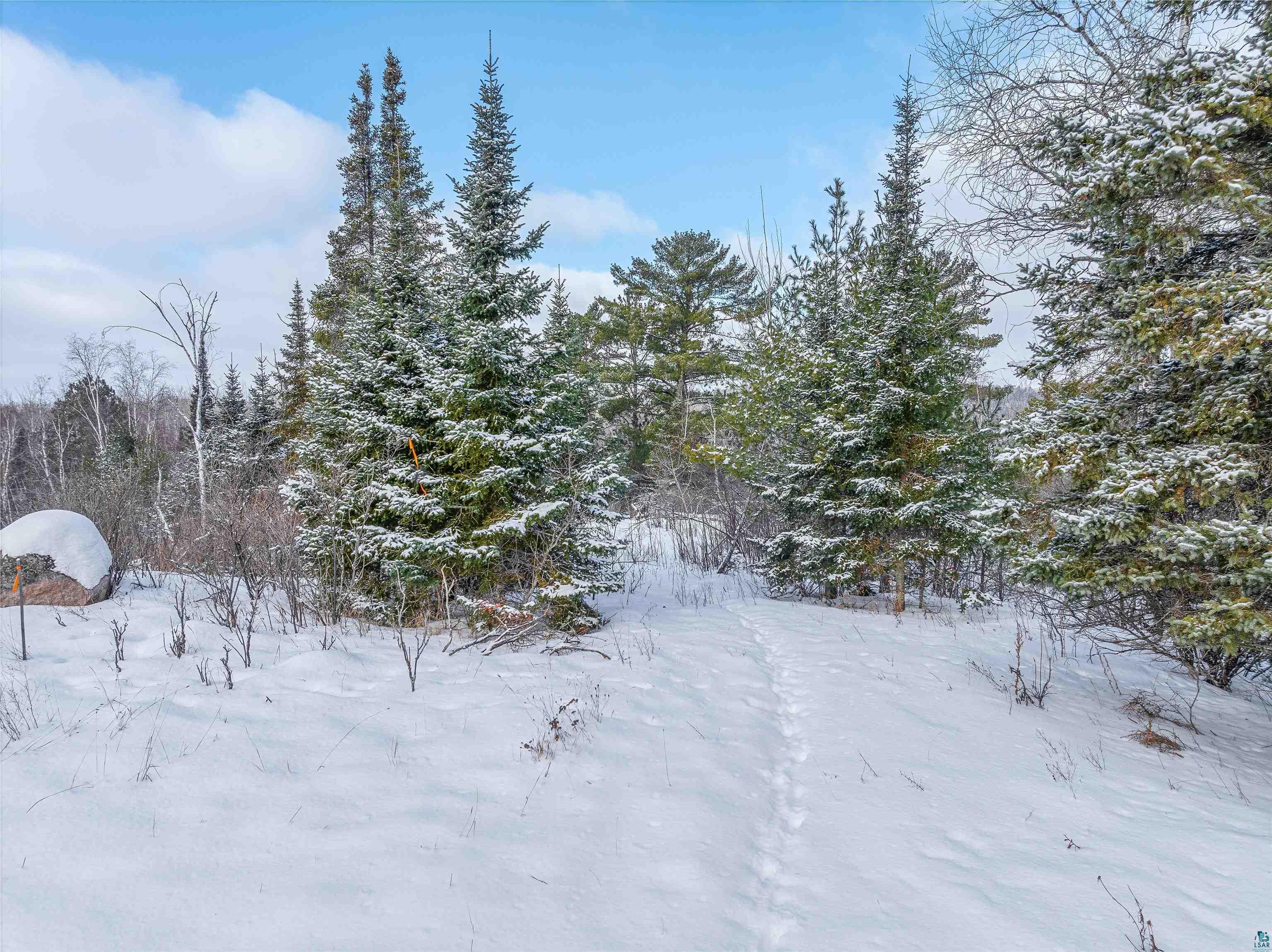 Tbd Trezona Road Ely, MN 55731 - Photo 20 of 22 View of yard covered in snow