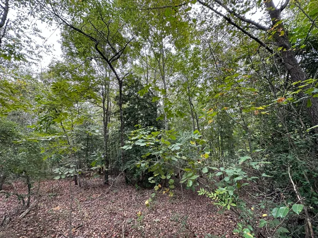 $14,000 | 36 Nelson Court, Louisville, GA 30434