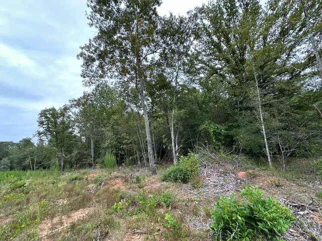 $14,000 | 36 Nelson Court, Louisville, GA 30434