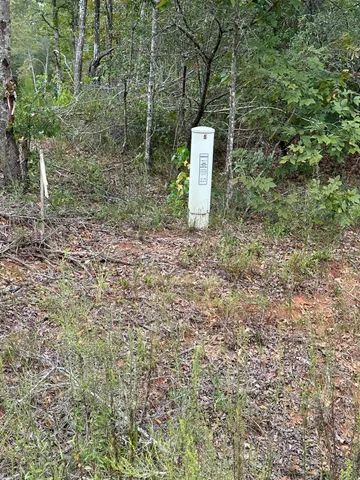 $14,000 | 36 Nelson Court, Louisville, GA 30434