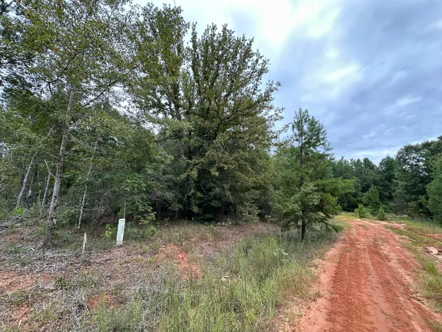 $14,000 | 36 Nelson Court, Louisville, GA 30434