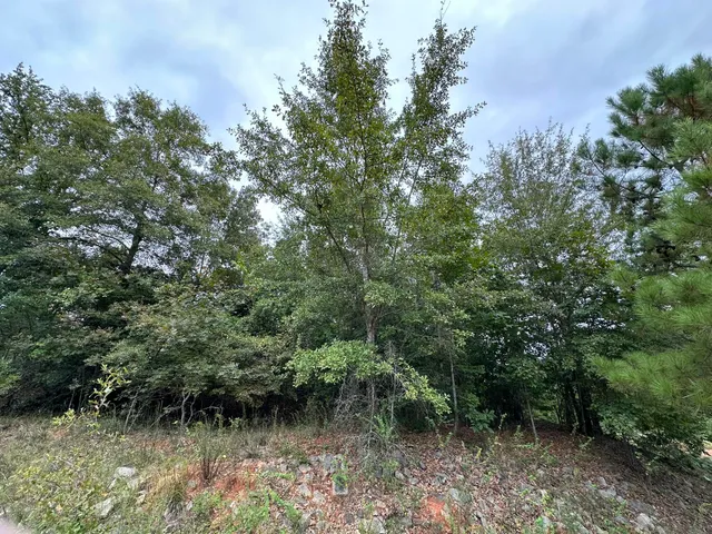 $14,000 | 36 Nelson Court, Louisville, GA 30434