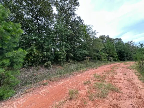 $14,000 | 36 Nelson Court, Louisville, GA 30434