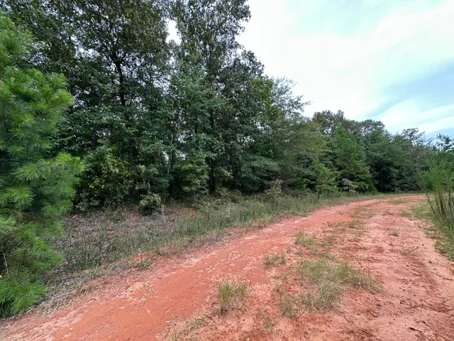 $14,000 | 36 Nelson Court, Louisville, GA 30434