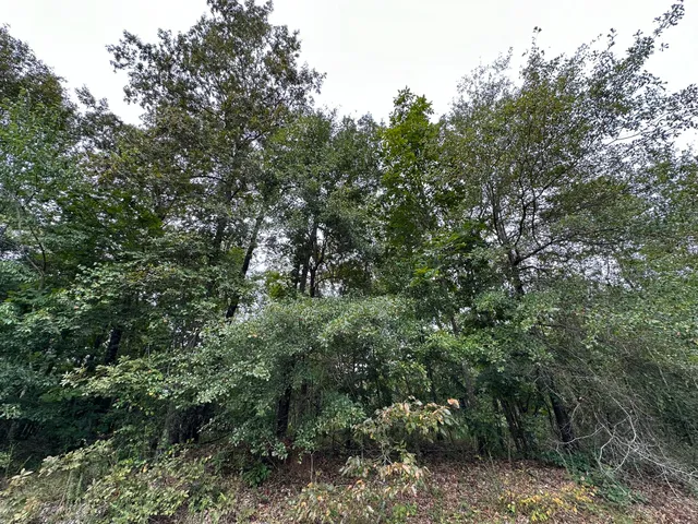 $14,000 | 36 Nelson Court, Louisville, GA 30434