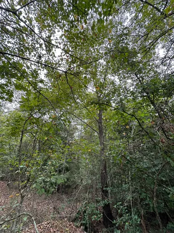 $14,000 | 36 Nelson Court, Louisville, GA 30434