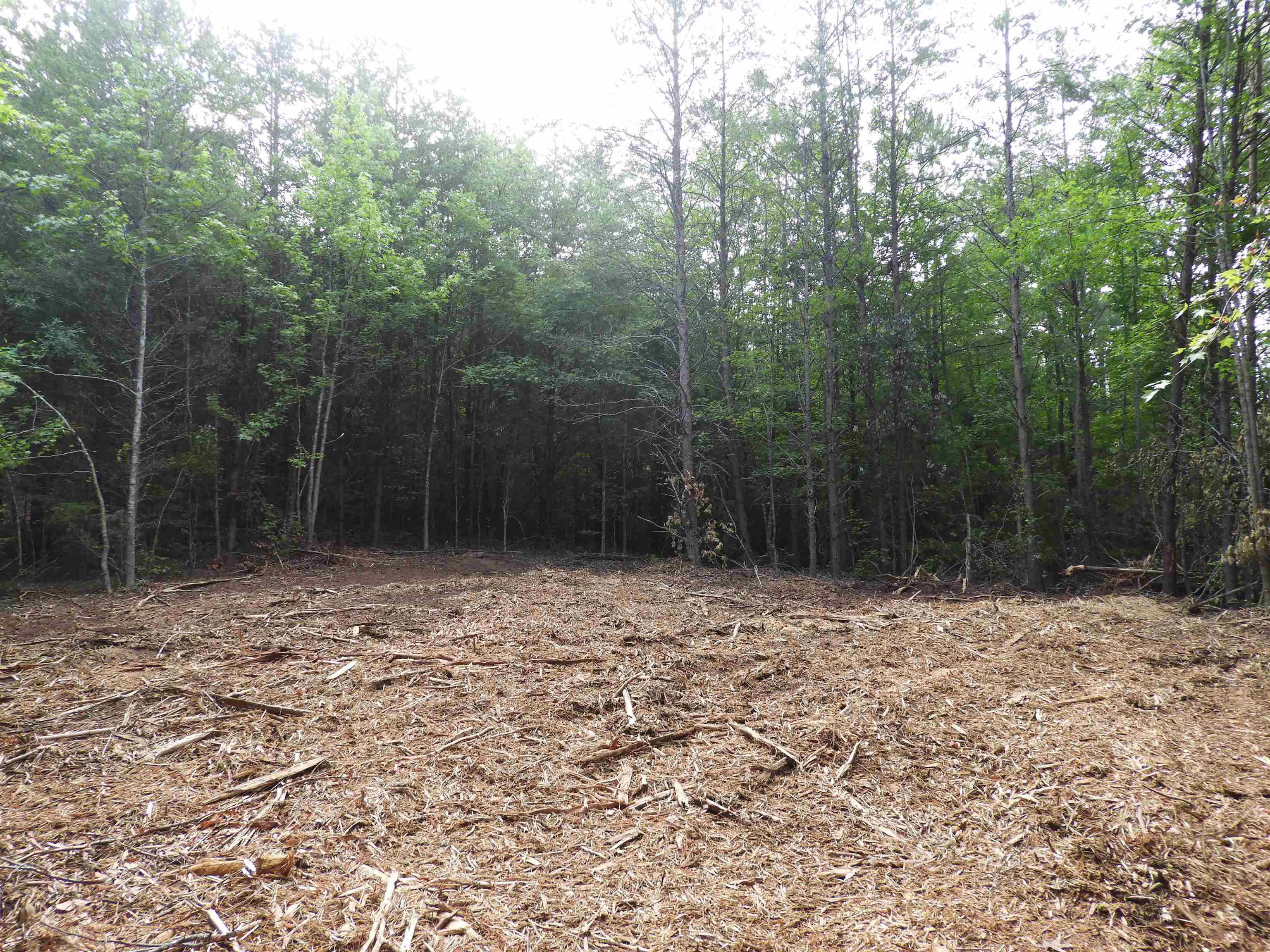 2109-tract D 2109-tract D Riddle Road Pauline, SC 29374 - Photo 18 of 42