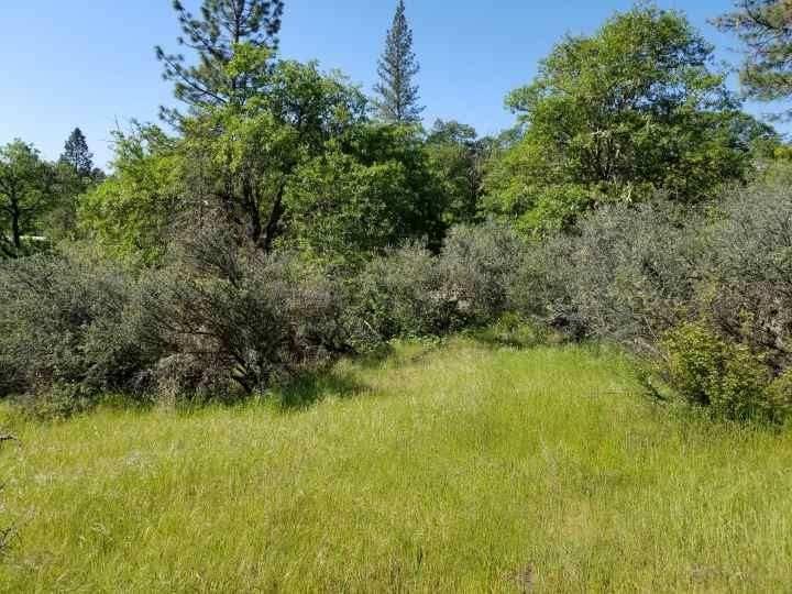 0 Ragsdale Road Trail, OR 97541 - Photo 9 of 17 Additional Photo