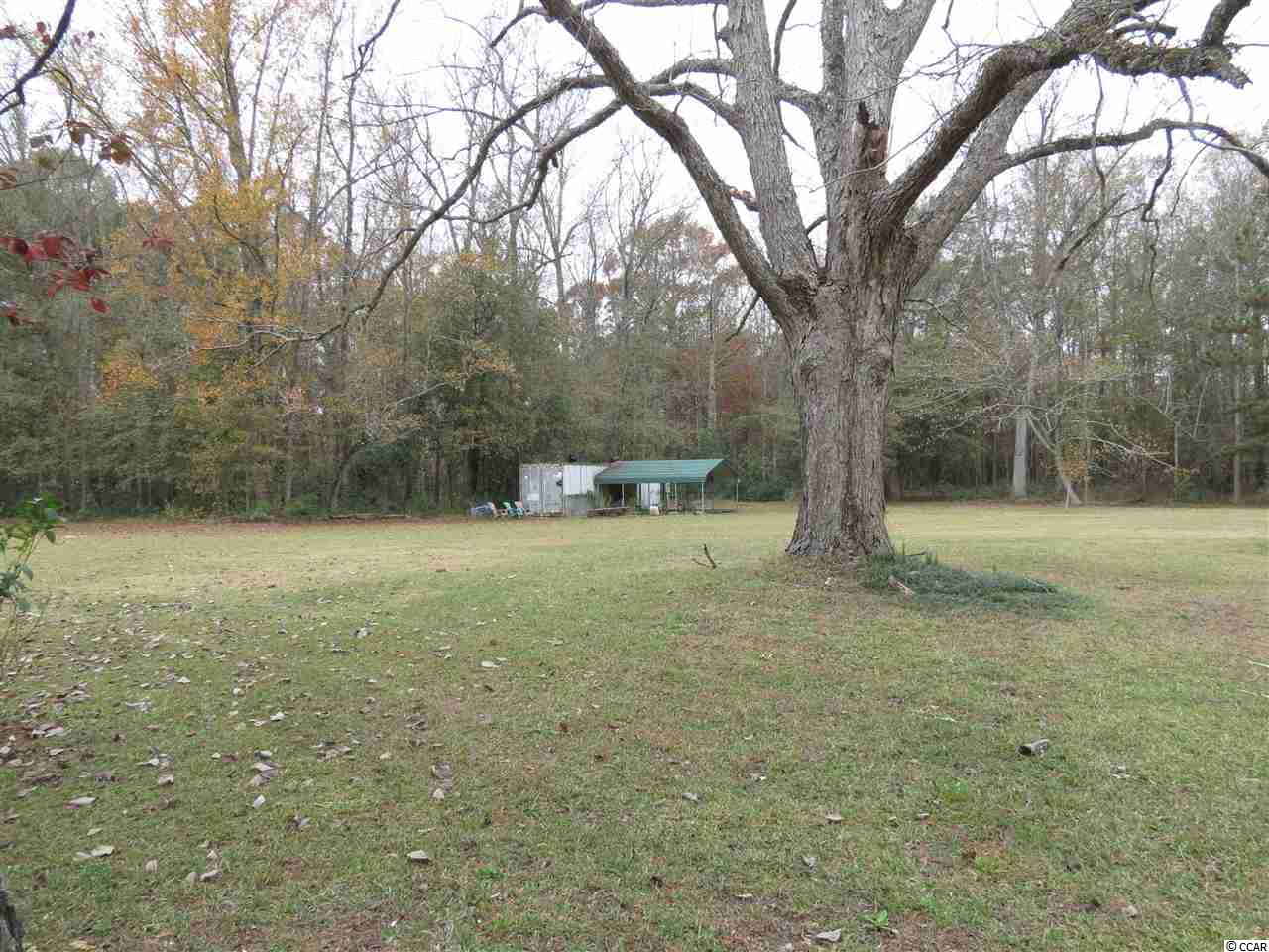 499 County Rd S-22-817 Hemingway, SC 29554 - Photo 11 of 23 Gallery Image 11