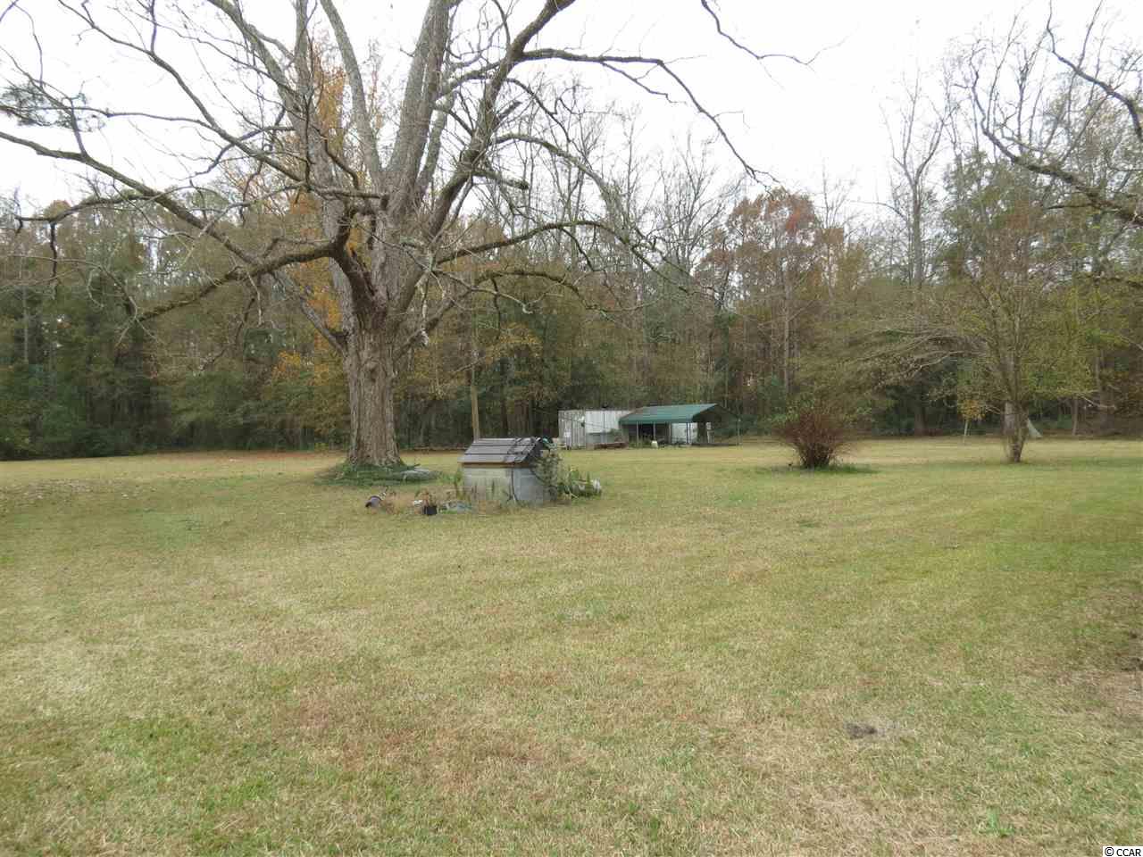 499 County Rd S-22-817 Hemingway, SC 29554 - Photo 16 of 23 Gallery Image 16
