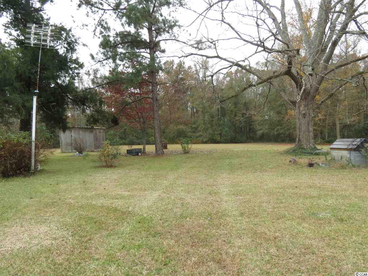 499 County Rd S-22-817 Hemingway, SC 29554 - Photo 17 of 23 Gallery Image 17