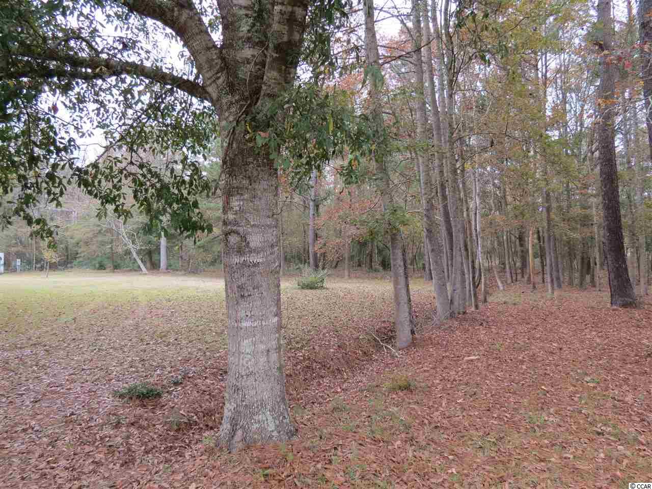 499 County Rd S-22-817 Hemingway, SC 29554 - Photo 21 of 23 Gallery Image 21
