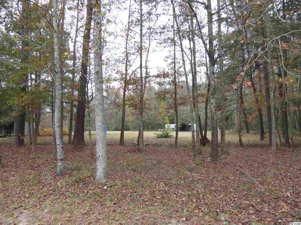 499 County Rd S-22-817 Hemingway, SC 29554 - Photo 4 of 23 Gallery Image 4