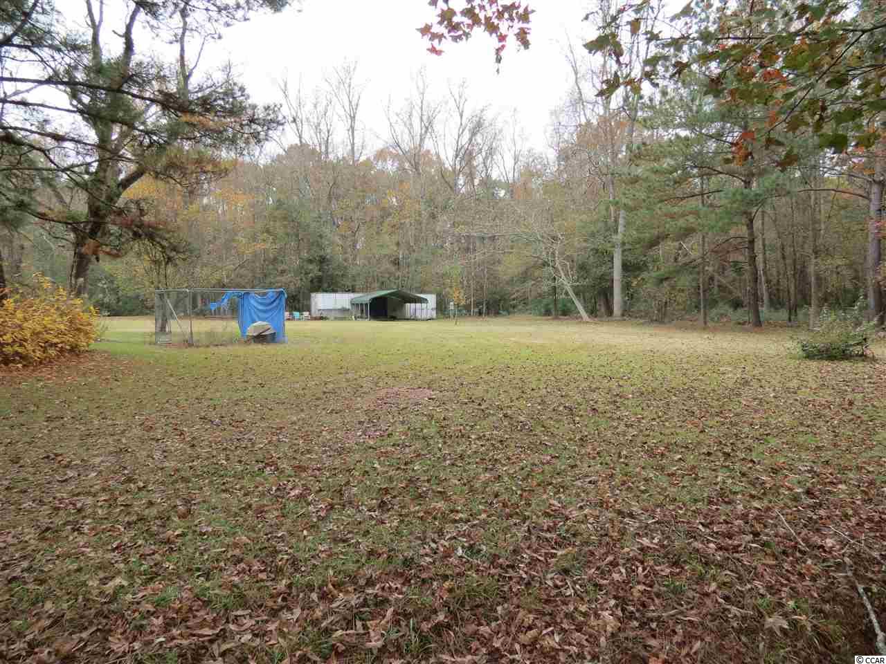 499 County Rd S-22-817 Hemingway, SC 29554 - Photo 5 of 23 Gallery Image 5