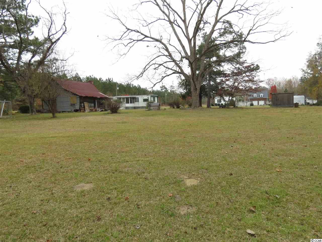 499 County Rd S-22-817 Hemingway, SC 29554 - Photo 9 of 23 Gallery Image 9