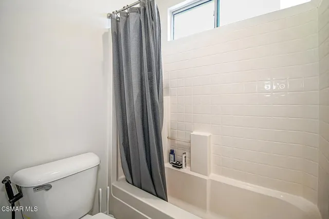 a view of a yard with plants and trees