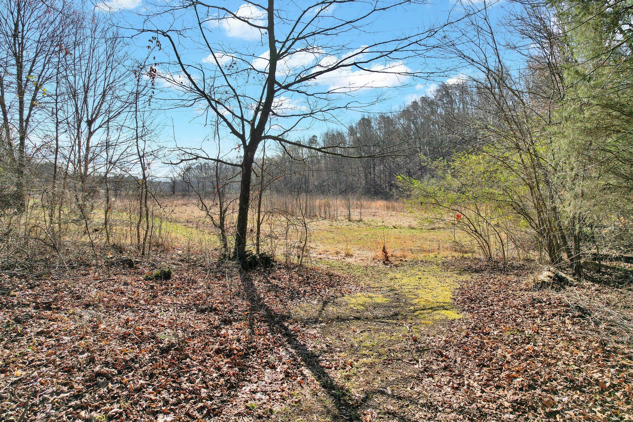 6479 Georgetown Road Northwest Cleveland, TN 37312 - Photo 54 of 60 12-web-or-mls-DJI_0603