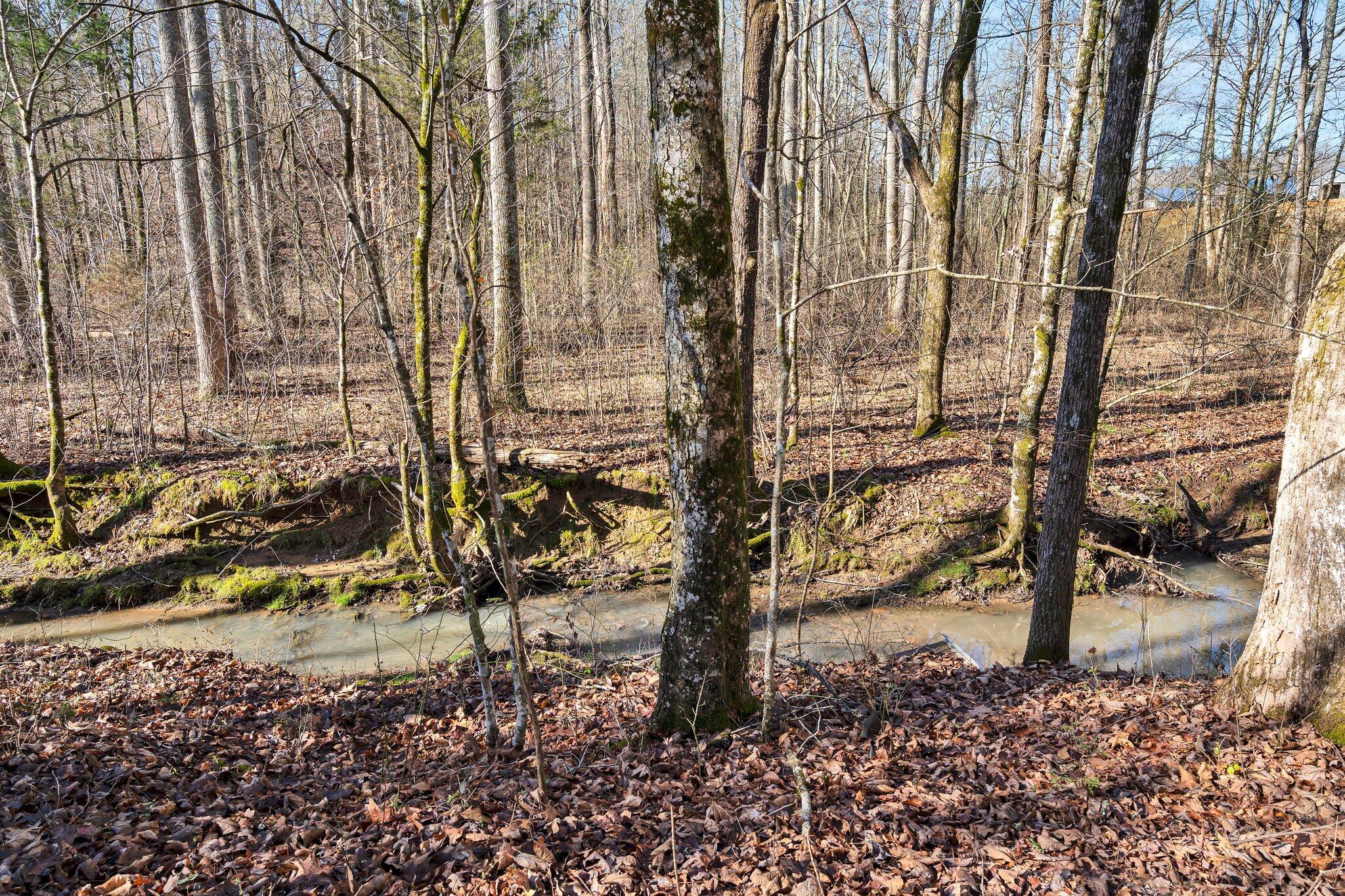 6479 Georgetown Road Northwest Cleveland, TN 37312 - Photo 55 of 60 33-web-or-mls-DSC00055