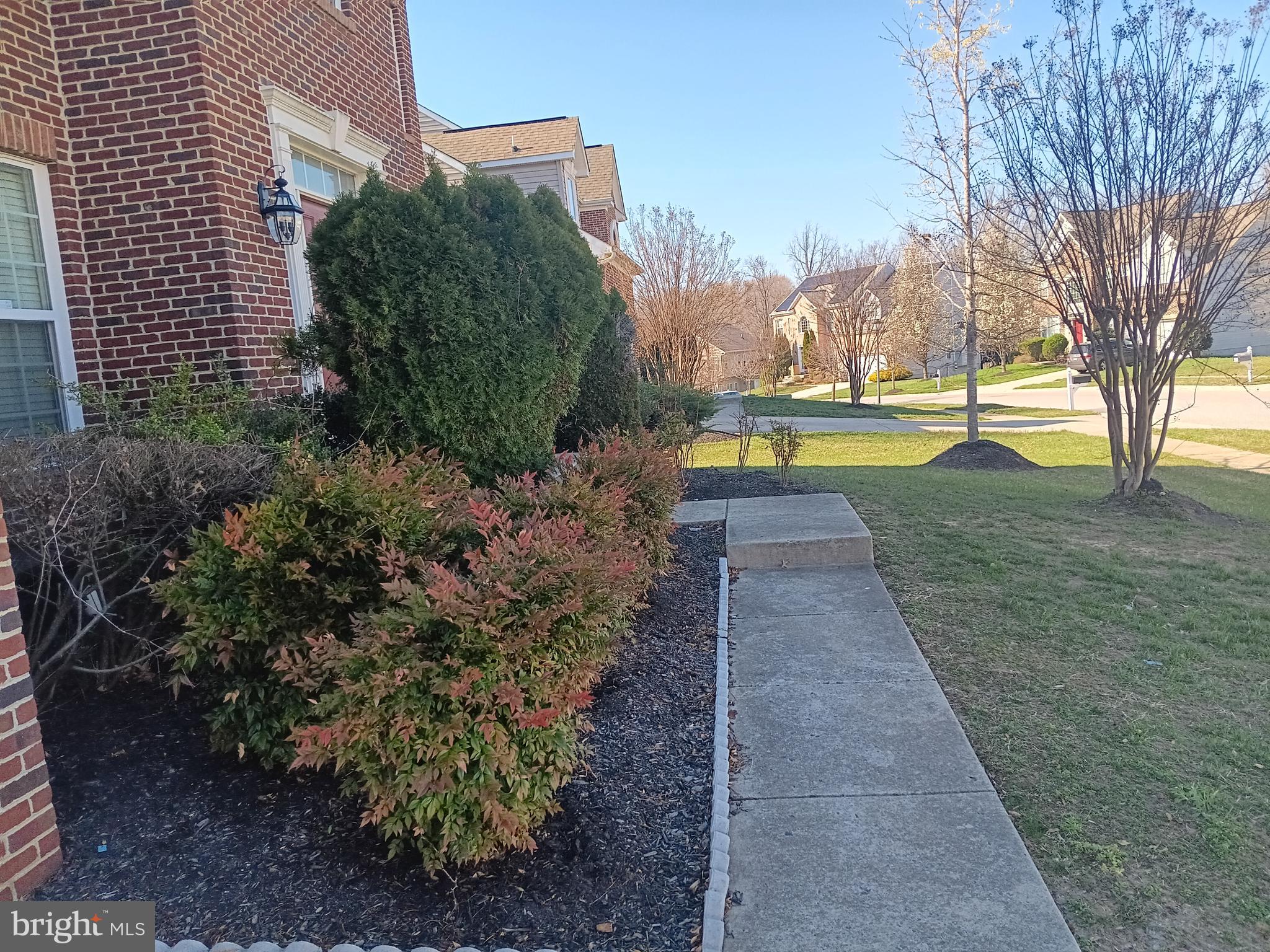 9707 Risen Star Drive Upper Marlboro, MD 20772 - Photo 3 of 35 a view of a yard with swimming pool