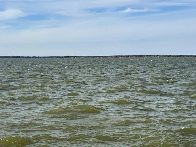 a view of beach and ocean