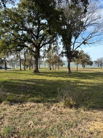 a view of a lake with a large trees