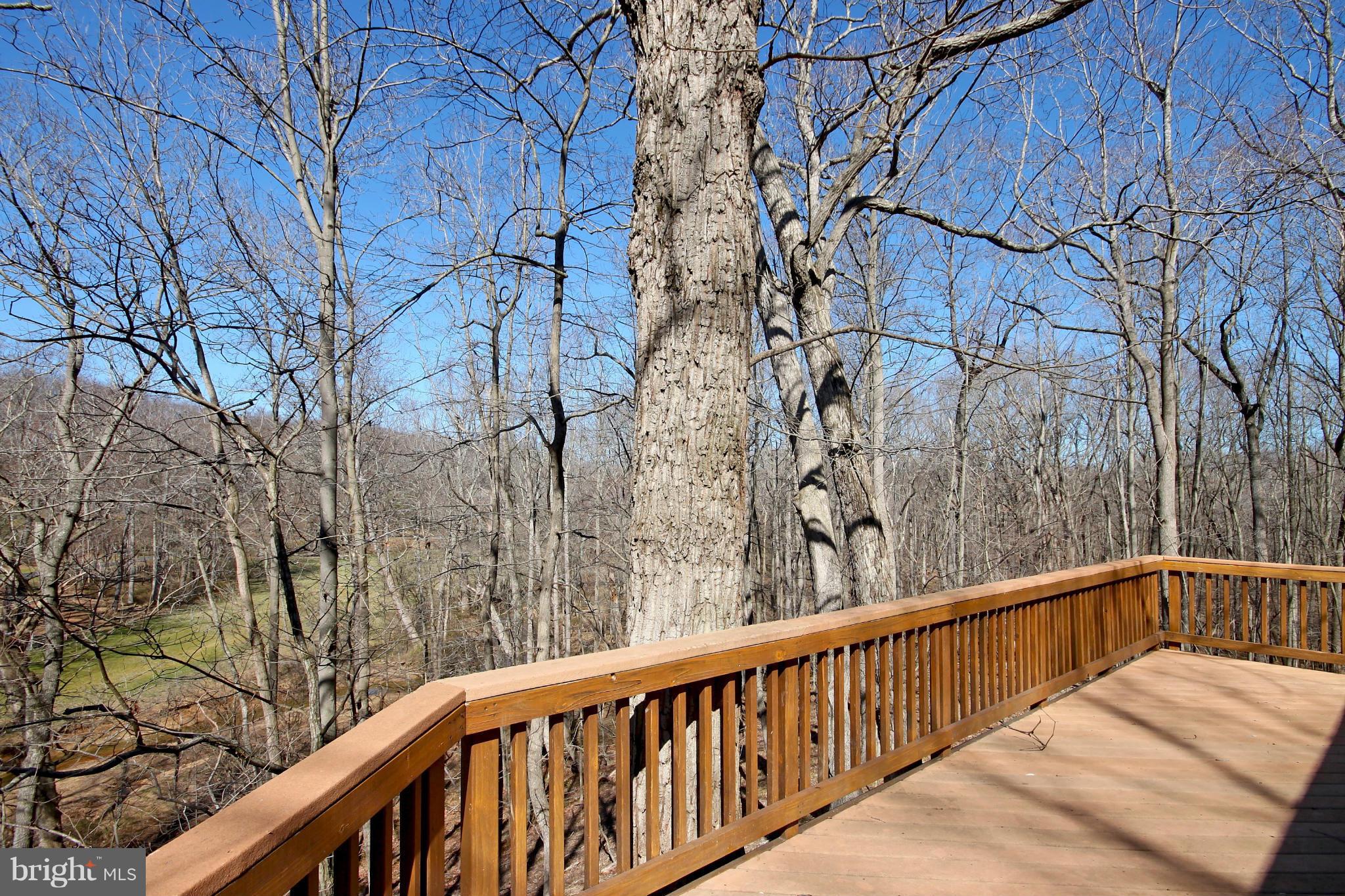 2322 Sawdust Road Vienna, VA 22181 - Photo 21 of 29 Deck