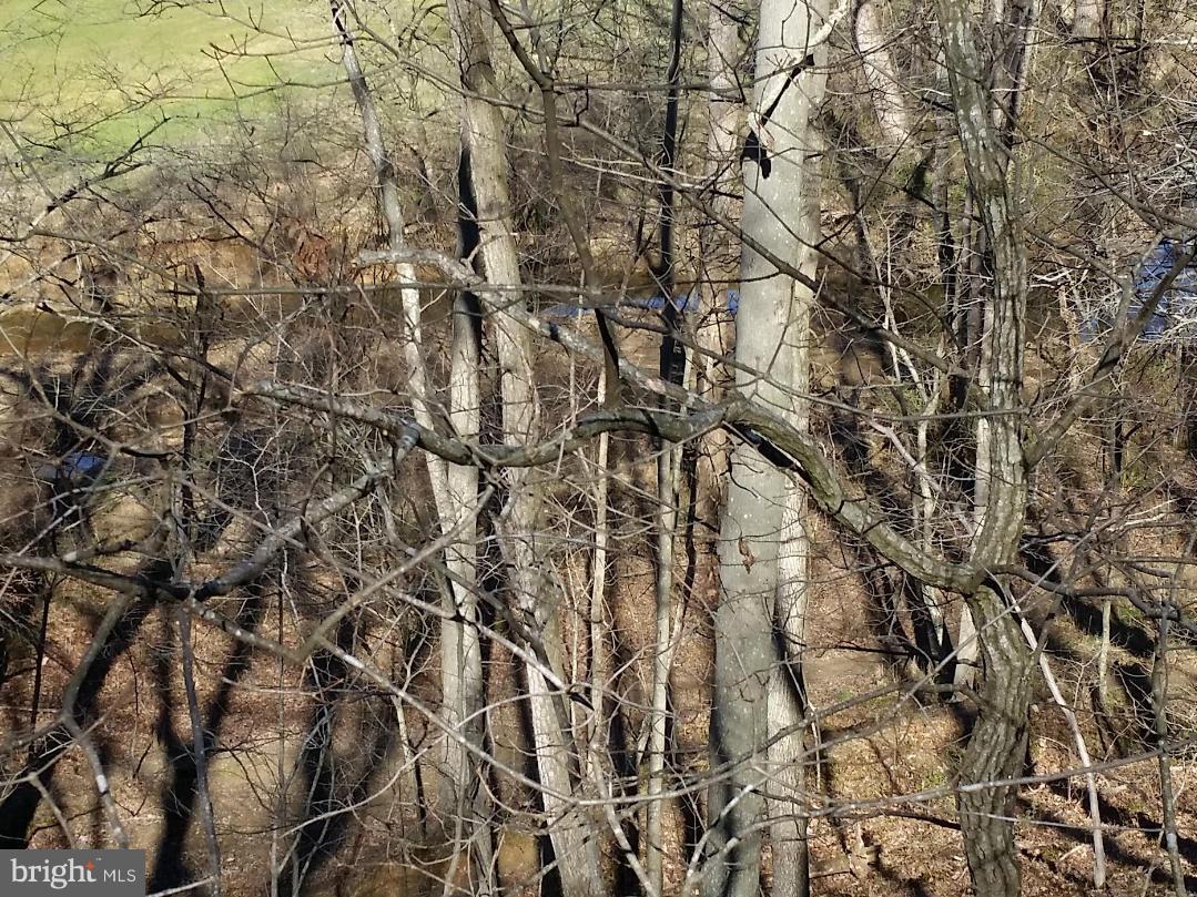 2322 Sawdust Road Vienna, VA 22181 - Photo 25 of 29 View from Back Deck