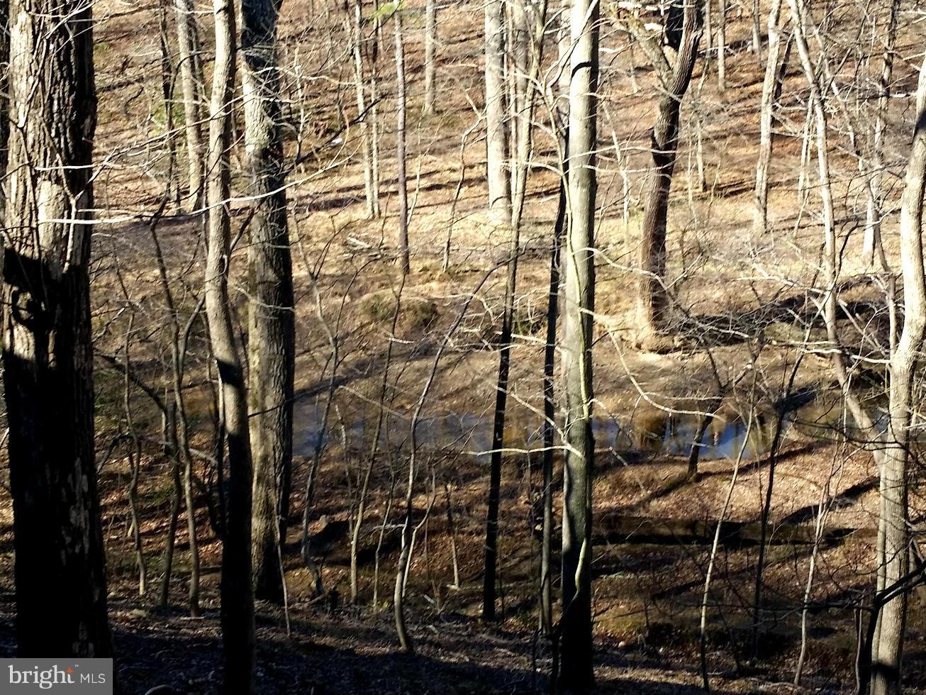 2322 Sawdust Road Vienna, VA 22181 - Photo 26 of 29 Wooded View