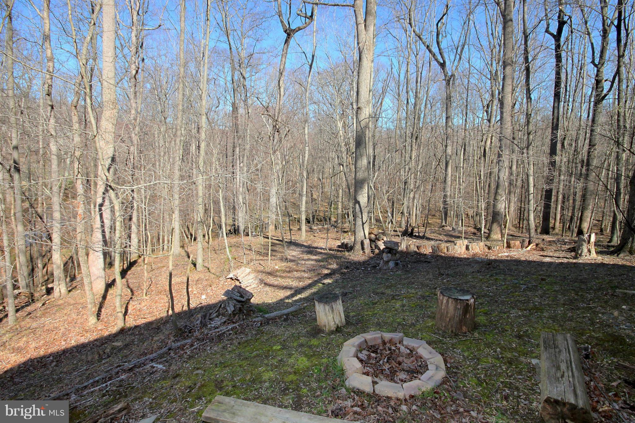 2322 Sawdust Road Vienna, VA 22181 - Photo 28 of 29 Exterior (Rear)