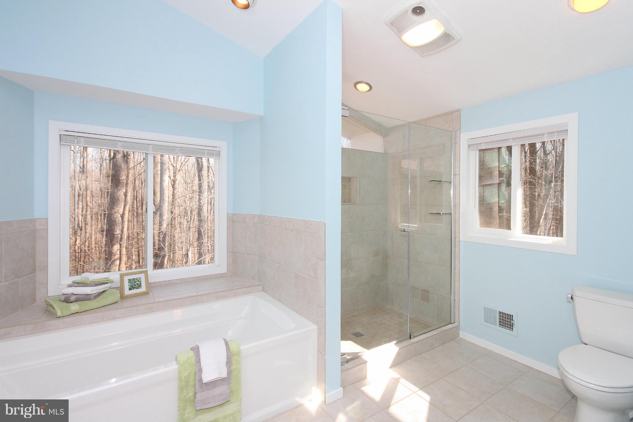 2322 Sawdust Road Vienna, VA 22181 - Photo 7 of 29 Master Bath - View