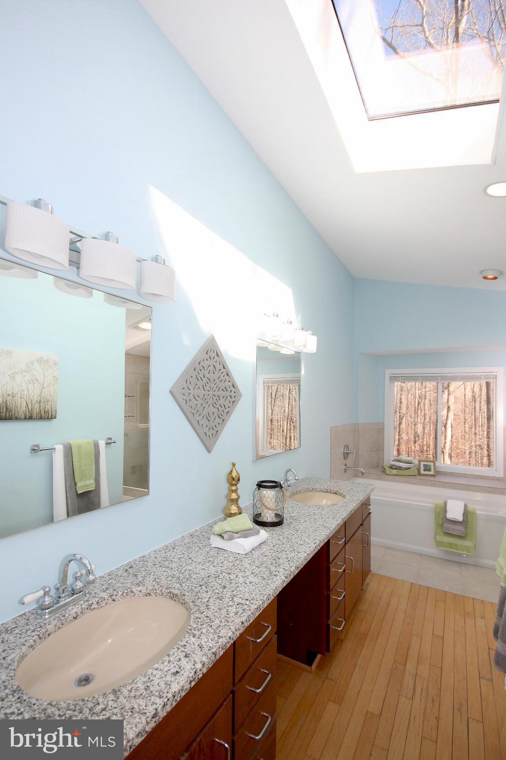 2322 Sawdust Road Vienna, VA 22181 - Photo 8 of 29 Master Bath - View 2