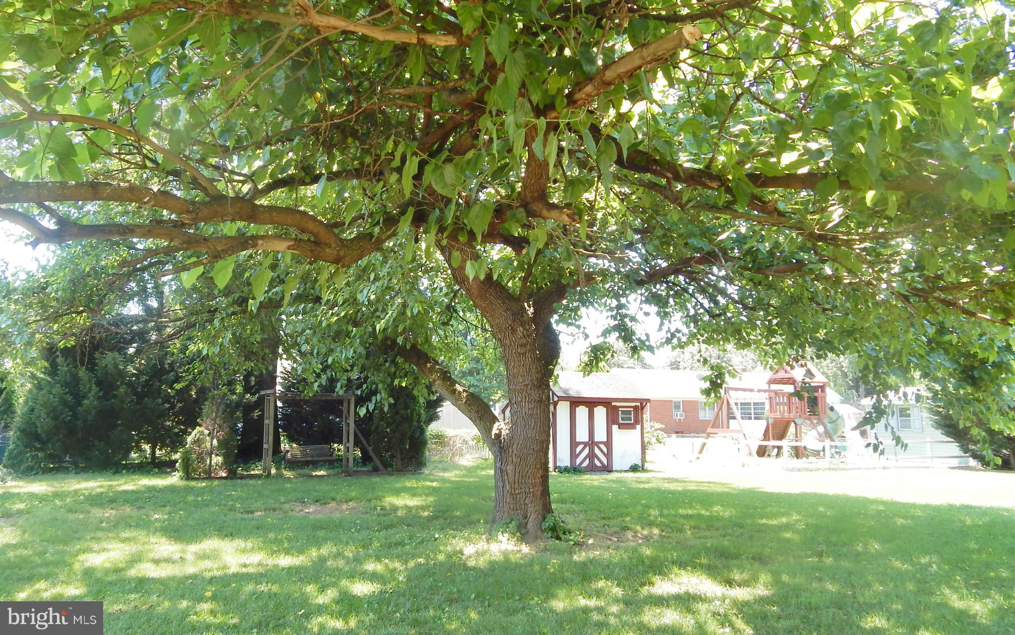 785 Evergreen Road Severn, MD 21144 - Photo 4 of 25 a view of a trees in a yard with large trees