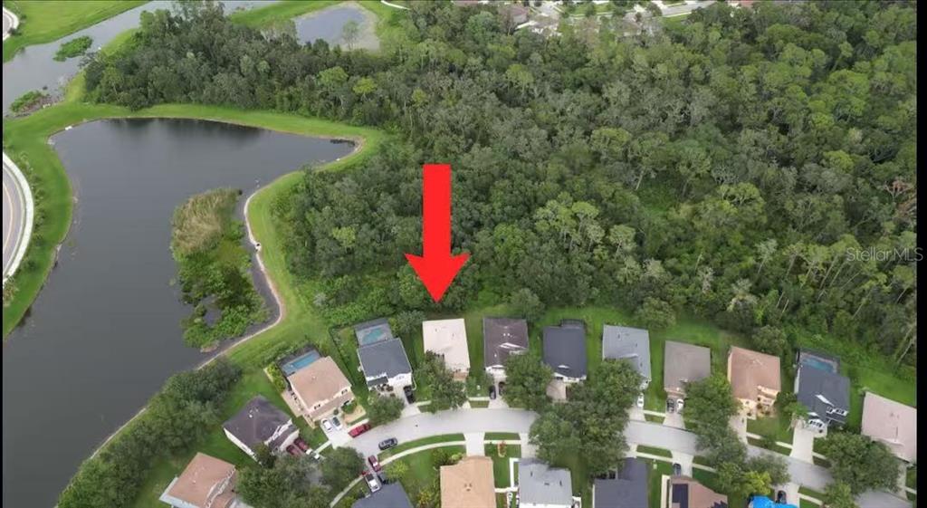 7322 Bridgeview Drive Wesley Chapel, FL 33545 - Photo 3 of 75