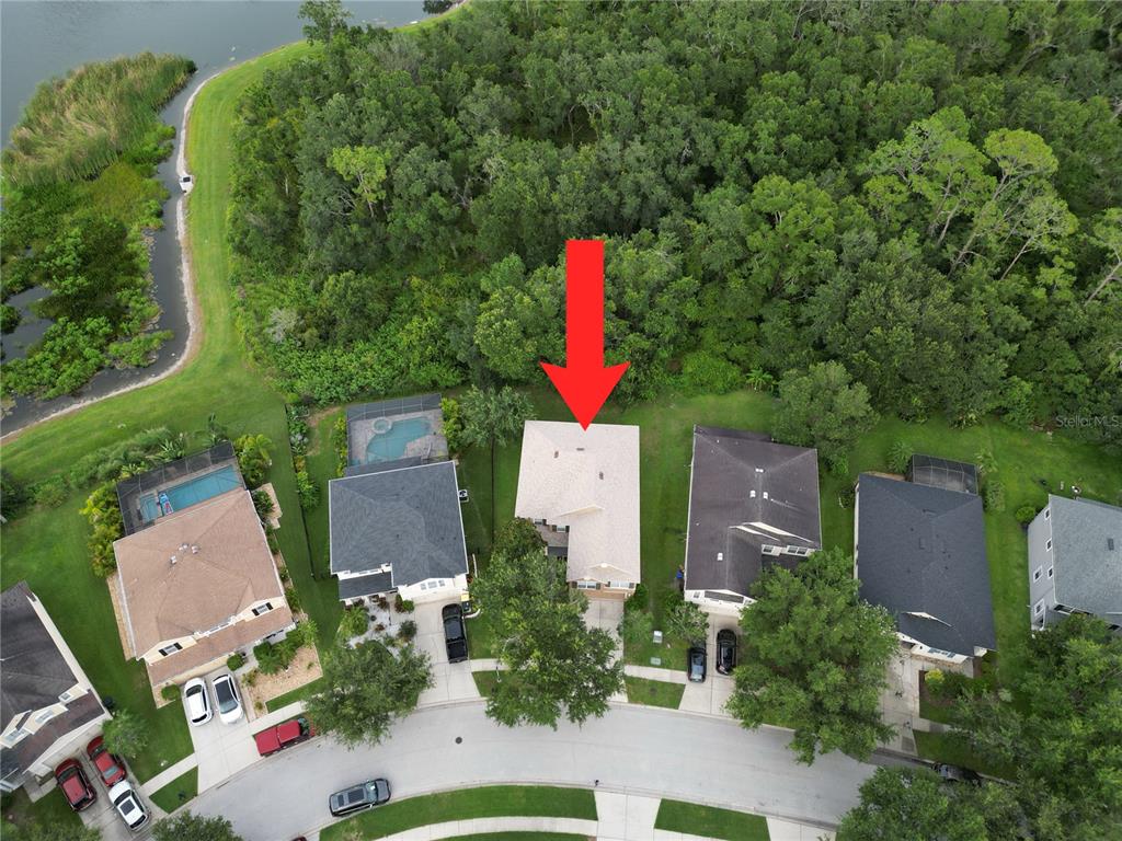 7322 Bridgeview Drive Wesley Chapel, FL 33545 - Photo 69 of 75 an aerial view of a house with a yard and trees