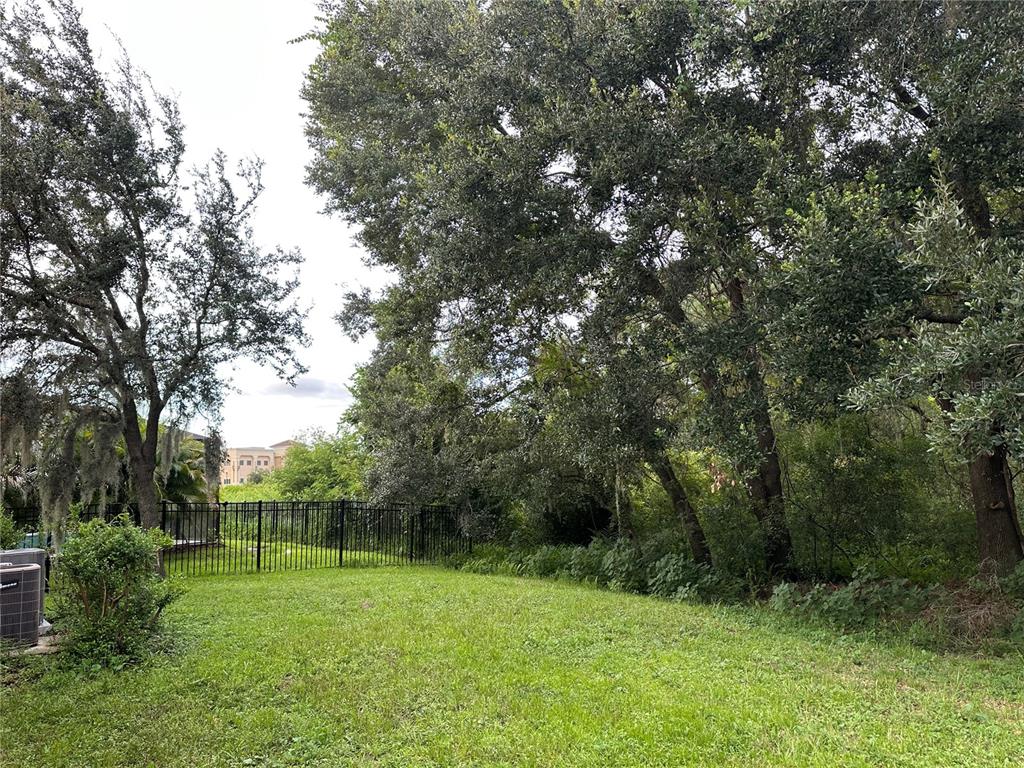 7322 Bridgeview Drive Wesley Chapel, FL 33545 - Photo 71 of 75 a view of outdoor space and yard